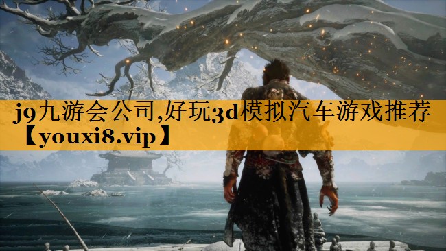 j9九游会公司,好玩3d模拟汽车游戏推荐